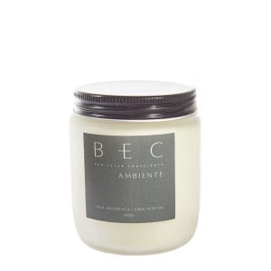 Vela Vegetal super cheirosa com pavio de madeira